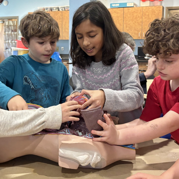 Close-up photograph of 3 elementary students from The Siena School as they work together hands-on in science class.