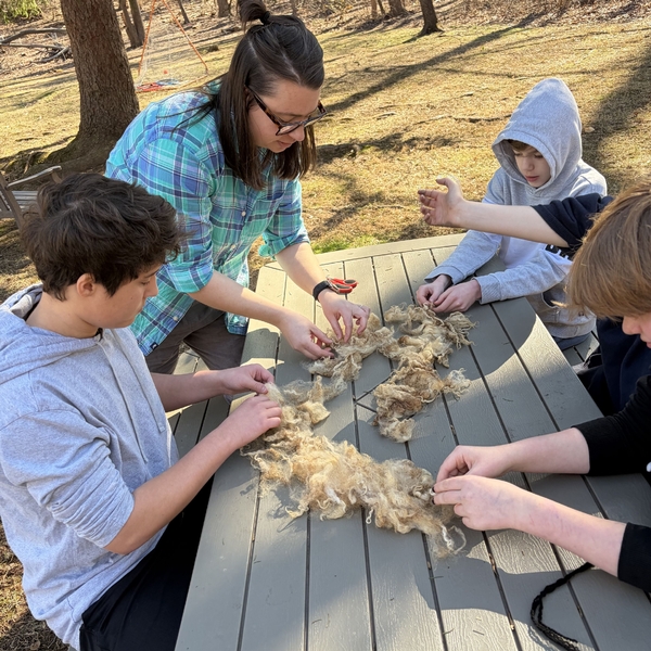 Students and a teacher at The Siena School sit at a picnic table doing hands-on learning by skirting sheep wool.