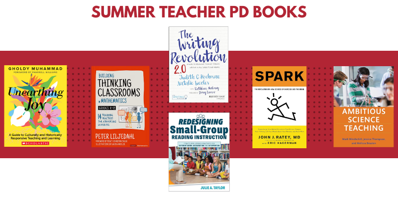ix books labeled “Summer Teacher PD Books.